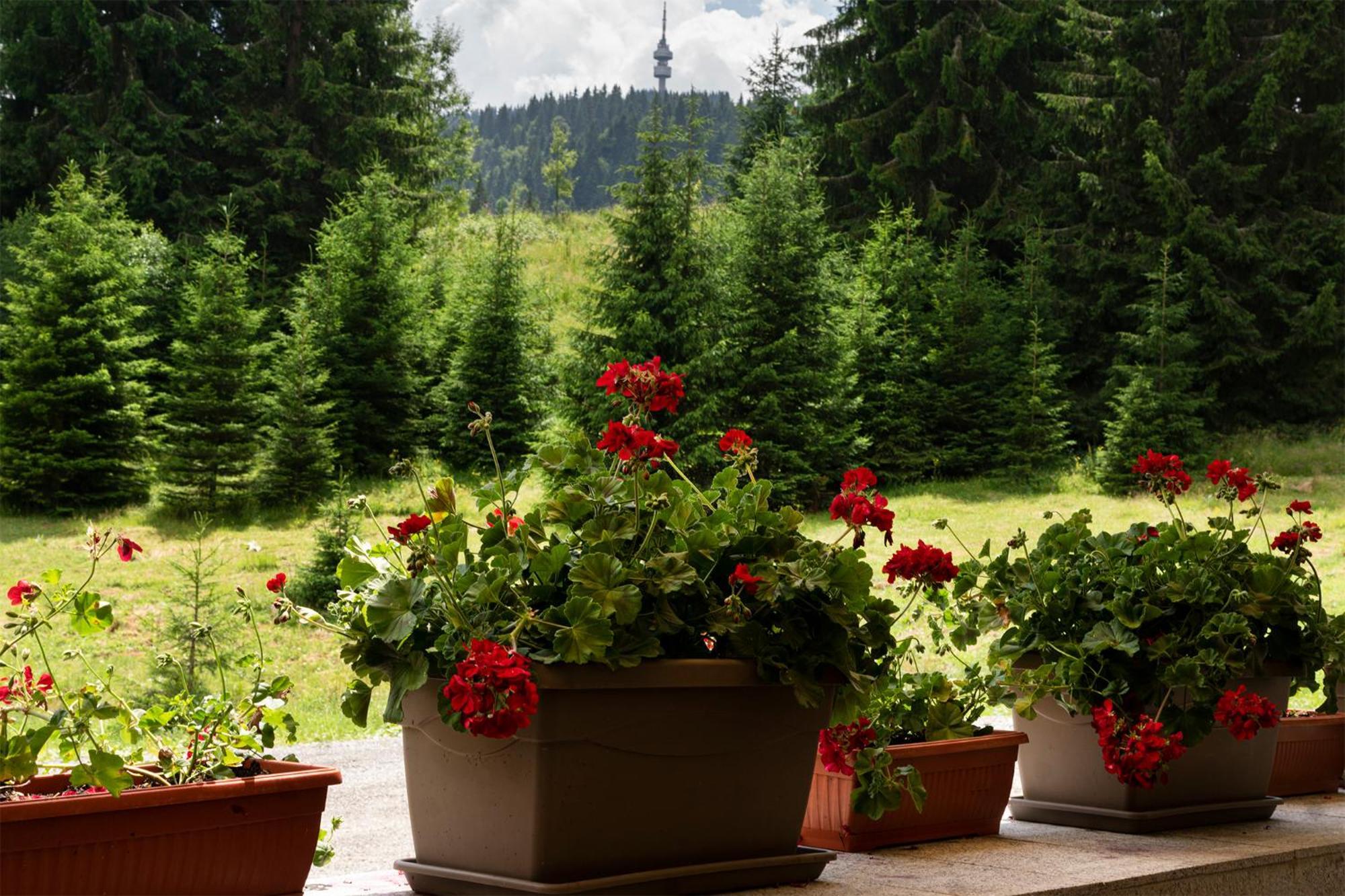 Hotel Niken Pamporovo Luaran gambar